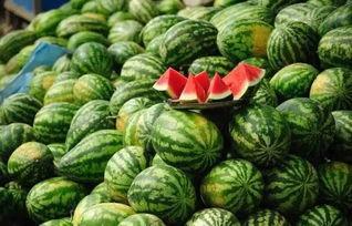 稀缺精选泄密黑料吃瓜,稀缺精选泄密黑料，吃瓜群众狂欢时刻