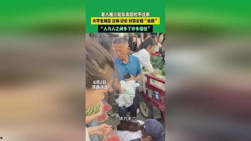 许昌今日头条卖瓜,新鲜瓜果任你挑，夏日炎炎解渴佳选