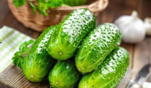 减肥期间可以吃黑吊瓜吗,黑吊瓜——健康饮食的绿色选择