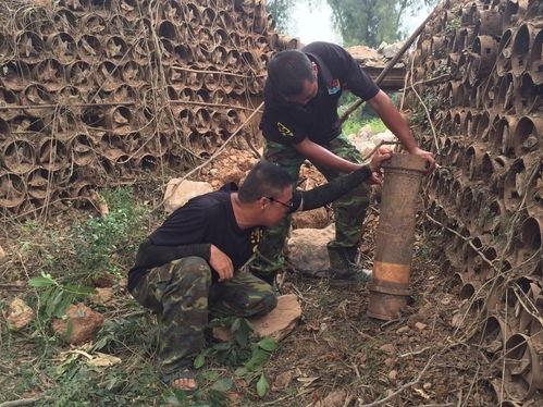 60炮的图片大全,探寻历史与现代的交汇点