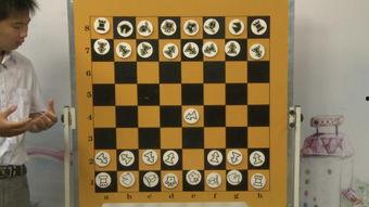 国际象棋视频教学,入门到精通的实战攻略