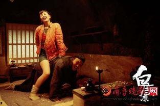 白鹿原的床戏,激情床戏背后的情感纠葛