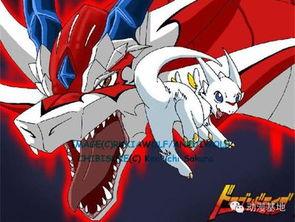 驭龙少年国语全集,奇幻冒险之旅