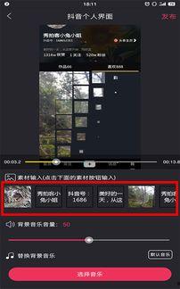 怎么把视频做成照片,轻松将动态画面定格成静态美照
