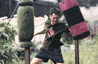 张梓林床戏,情感纠葛与演技挑战