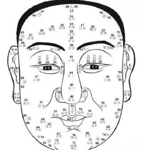 韩国相面,面相解读中的智慧与奥秘