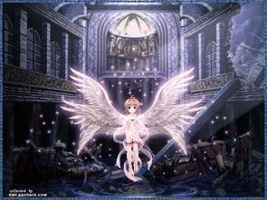 天使真人图片大全,揭秘天使们的真实魅力