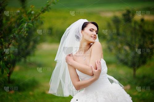漂亮新娘图片大全集,绝美新娘图片大全集赏析