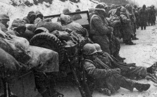 日本评价志愿军,英勇无畏的和平使者