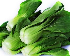 葱子图片,探寻葱子背后的故事与魅力