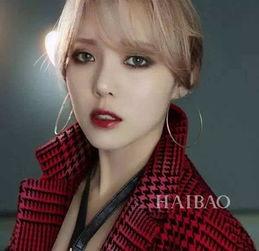 欧美明星在韩国,欧美明星在韩国的璀璨星途与文化交流