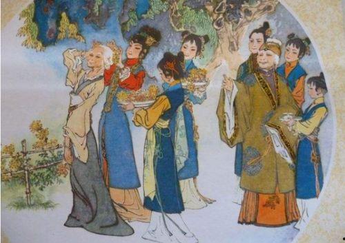 刘姥姥进大观园视频,一场穿越时空的文化之旅