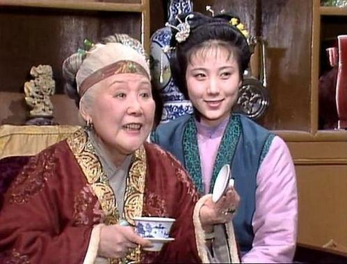 刘姥姥进大观园视频,一场穿越时空的文化之旅