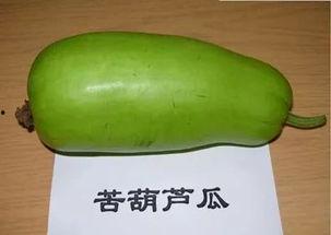 今日头条买葫芦瓜,葫芦瓜种植攻略，轻松收获美味佳肴