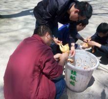 野炊图片,共享自然与美食的欢乐瞬间