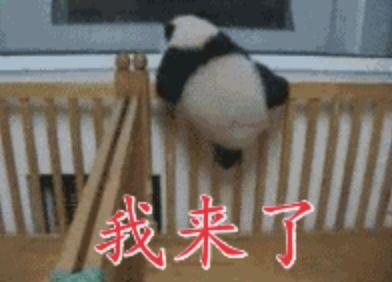 你瞅啥视频,揭秘网络流行语的魅力与影响