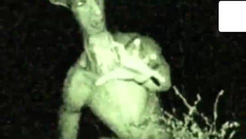 女巨人视频大全,揭秘神秘巨人世界