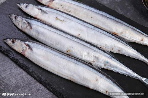 秋刀鱼图片,秋刀鱼的美味诱惑