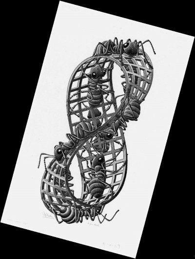 莫比乌斯带图片