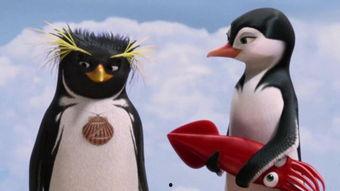 冲浪企鹅国语,海洋奇遇记