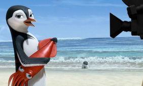 冲浪企鹅国语,海洋奇遇记