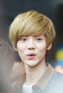 鹿晗为什么去韩国,从中国偶像到韩流巨星的心路历程