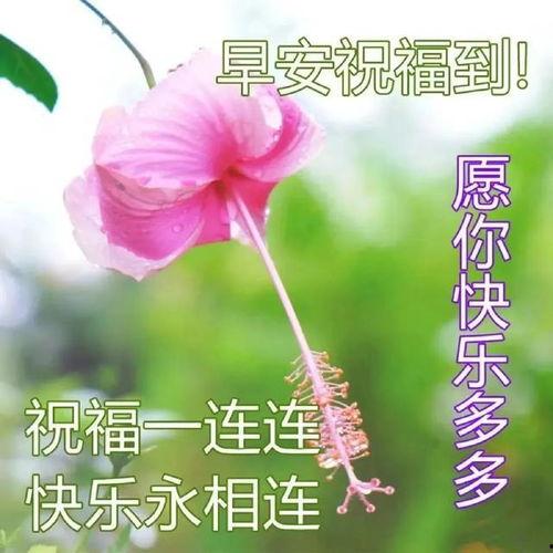 亲情图片带文字,定格永恒的温馨时光