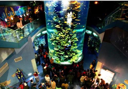 青岛海底世界视频,青岛海底世界探秘之旅