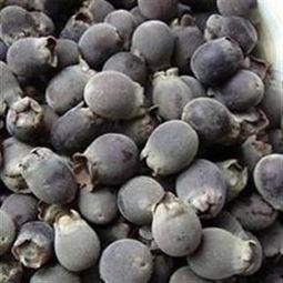 山稔子图片,大自然的馈赠，养生佳果的奥秘