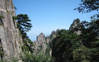 黄山风光图片大全,奇松怪石，云海日出，绝美画卷