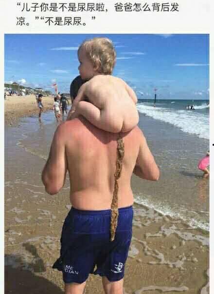 被爸爸打屁屁视频,家庭爱的印记