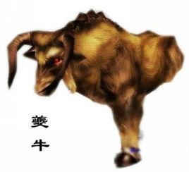 东北神兽图片大全,探寻东北神秘生物的奇幻世界