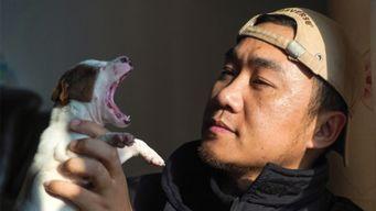 毛孩视频,萌宠日常，欢乐无限