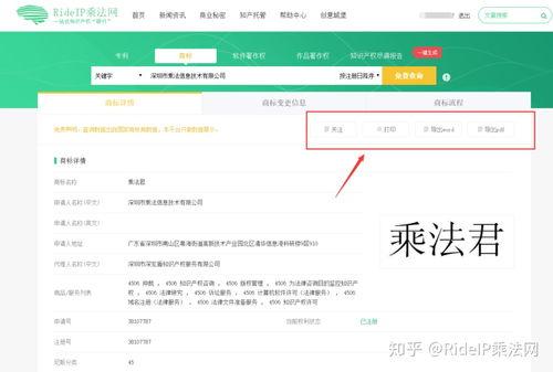 图片版权查询,一键查询，守护您的创意权益