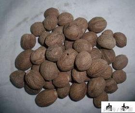 药材图片,图解常见中药材的神奇功效