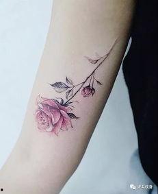 最好看纹身图片大全集,探寻全球最美纹身图鉴