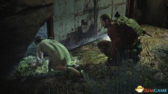 隐形虫图片,微观世界的神秘生物