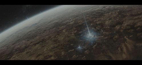 流浪图片,见证人间冷暖