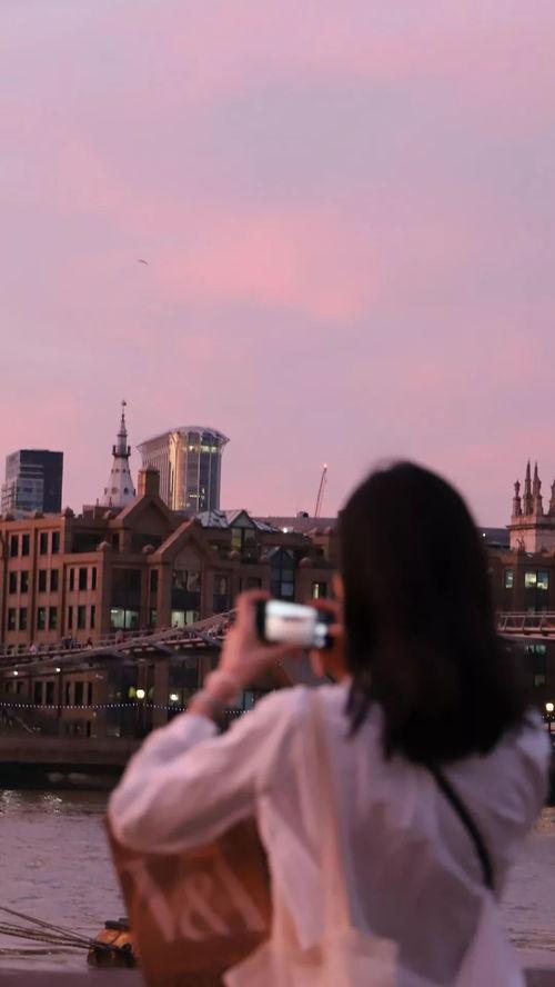 流浪图片,见证人间冷暖