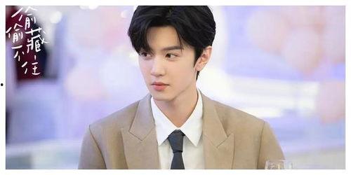 陈哲远图片,光影交织下的青春偶像