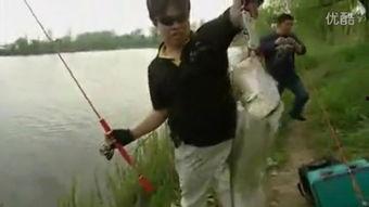 钓鱼视频大全,视频大全带你畅游垂钓世界