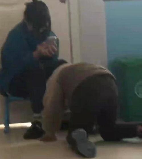 下跪认错视频,下跪认错场面引发网友热议