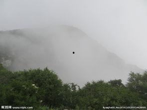 卧龙图片,探寻神秘卧龙的传奇故事