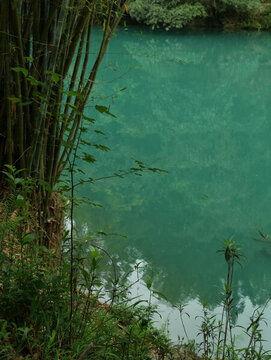 卧龙图片,探寻神秘卧龙的传奇故事