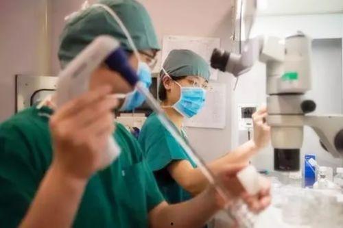 做试管婴儿视频,从视频看辅助生殖技术