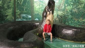 泰坦巨蟒图片,泰坦巨蟒的神秘面纱