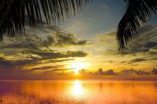 夕阳图片高清图片,夕阳映照下的浪漫画卷