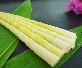 竹笋图片大全,探寻大自然的鲜嫩美味