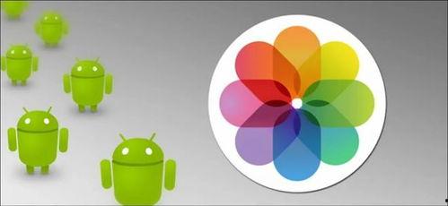 共享图片,捕捉生活精彩瞬间