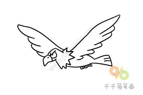 老鹰怎么画图片大全,从入门到精通的图片大全解析